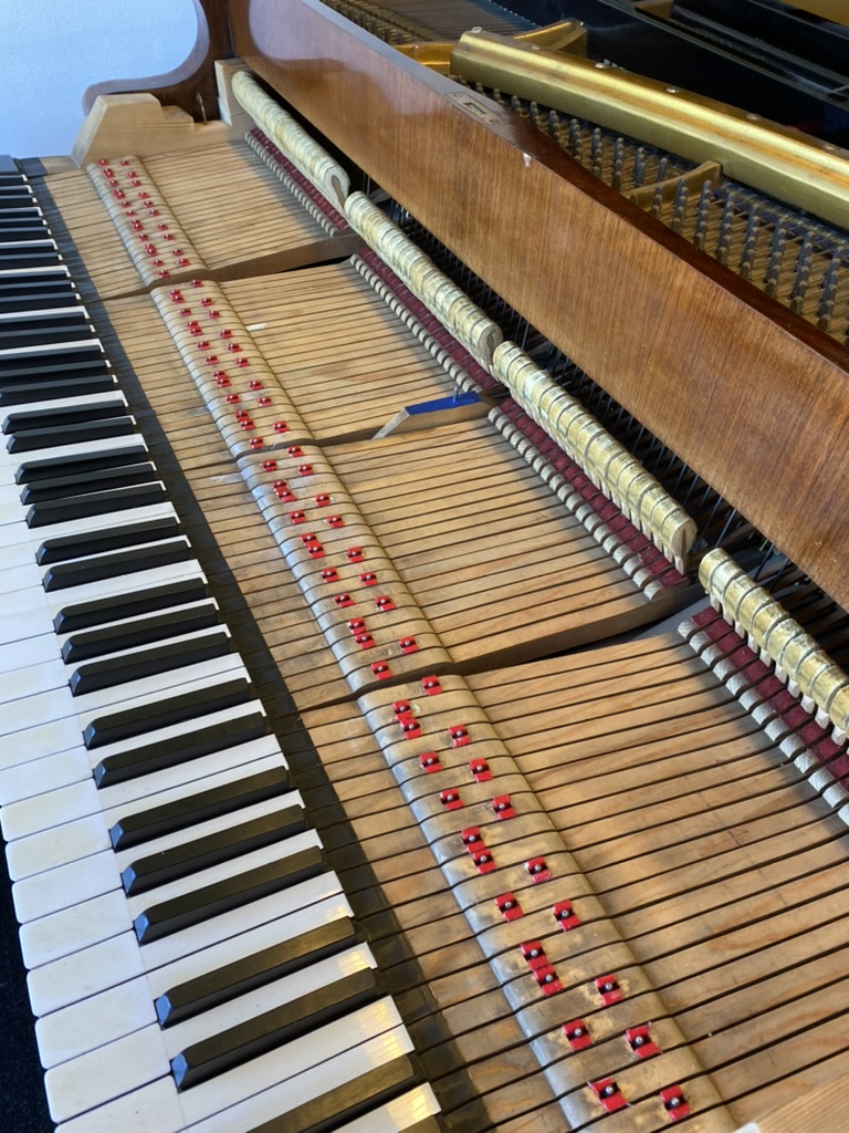 Foto Carl Dorr Klavier